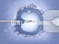 【科普】那些令人羨慕的優質胚胎有什么條件？