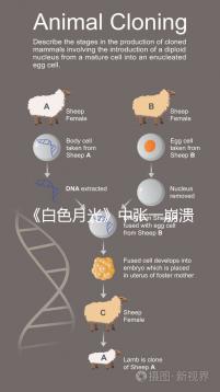 《白色月光》中張一崩潰在孩子面前哭，你認為該不該？