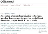 “吐血整理”細(xì)數(shù)三代試管嬰兒操作流程