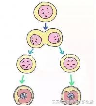 男人結婚時是否可以穿白色鞋子和白色西裝進行分析，看看對誰不利