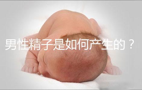 男性精子是如何產生的？