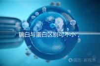 瑞白與蛋白區(qū)別可不小,保胎選擇哪個好一文說清