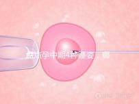 盤點孕中期4種睡姿，哪一種正確又健康？