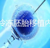 看看冷凍胚胎移植內(nèi)膜的準(zhǔn)備方案這些要求需要提前了解