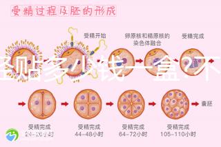 痛經(jīng)貼多少錢一盒?不同品牌痛經(jīng)貼價格盤點(diǎn)