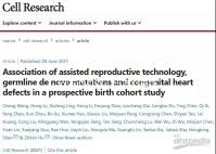 白術的功效(白術對男性性功能的效果)