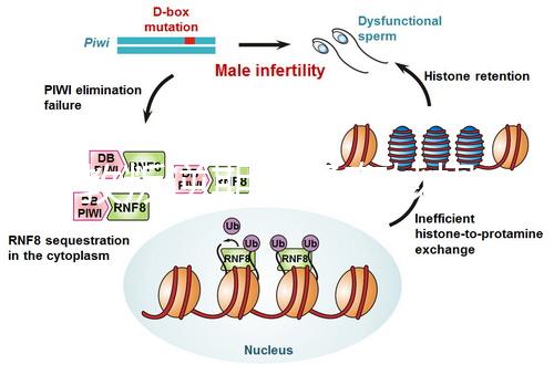 管教叛逆期孩子有妙招，這四個方法遠勝封閉式管理