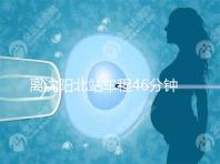 離沈陽北站車程46分鐘！沈陽菁華醫院地址及路線一覽