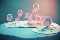 福建附一醫(yī)院做試管嬰兒怎么樣,2024助孕成功率數(shù)據(jù)公布