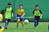 美國試管嬰兒可以選擇性別嗎?附上法律規定和安全性