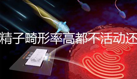 精子畸形率高都不活動還能做試管嬰兒嗎?