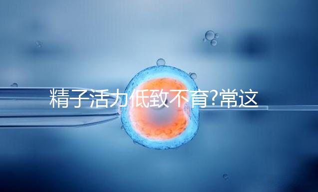 精子活力低致不育?常這吃4種食物讓你更快當(dāng)上準(zhǔn)爸爸!