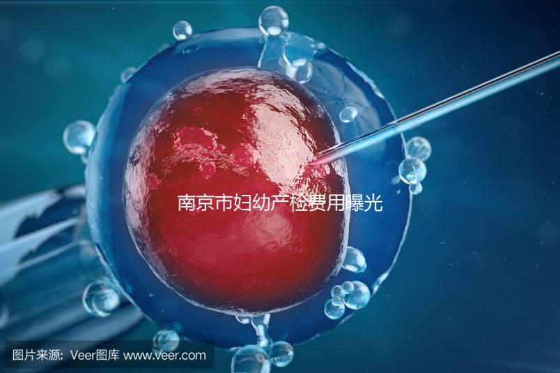 南京市婦幼產檢費用曝光，附2024詳細掛號時間和流程