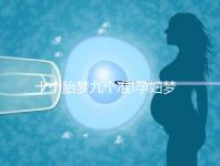 十個(gè)胎夢九個(gè)準(zhǔn)!孕婦夢見火車的寓意解讀