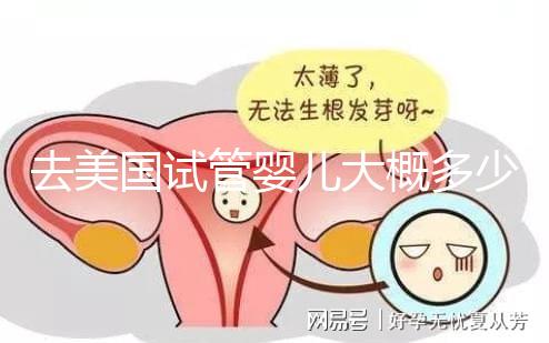 去美國試管嬰兒大概多少錢，省錢技巧有哪些必看