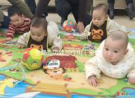 全蝎的功效與作用(全蝎治什么病最好最快)