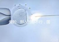 假的、別人的都不行，國內做試管無結婚證真不能過關！
