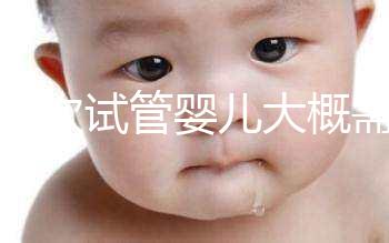 做一次試管嬰兒大概需要花多...@師曉東兒童血液的動態(tài)