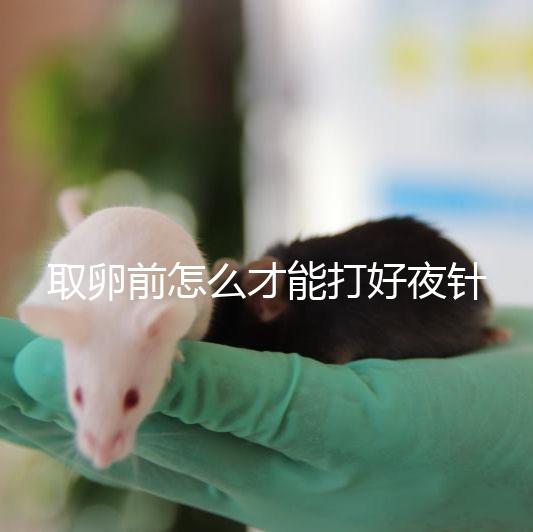 取卵前怎么才能打好夜針?準(zhǔn)時(shí)按量注射是基礎(chǔ)條件