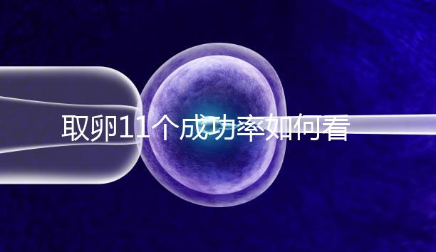 取卵11個成功率如何看胚胎配成數，只受精兩個要找找原因