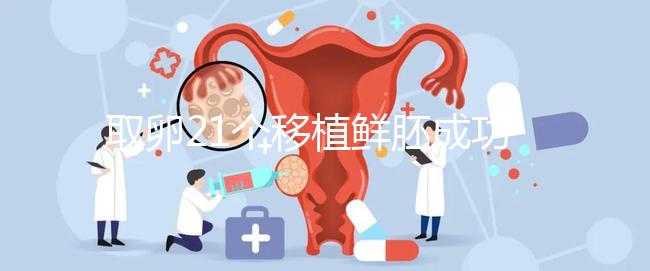 取卵21個移植鮮胚成功率真不低，前提：等卵巢恢復后再手術