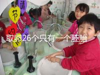 取卵26個只有一個胚胎成功率不低，次月移植凍胚易著床