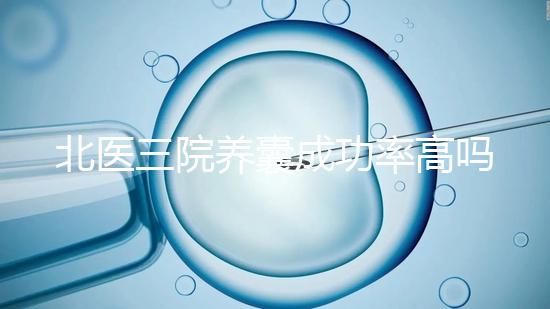 北醫三院養囊成功率高嗎?胚胎質量才是關鍵因素
