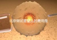 北京做試管嬰兒的費(fèi)用是多少錢？詳細(xì)流程是怎樣的？