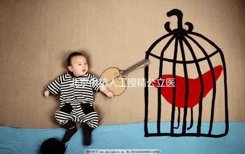 北京供精人工授精公立醫院一覽，內含排名榜單快收藏