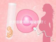 北京那家醫(yī)院看腎病好(北京腎病十大醫(yī)院排名)