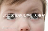 北京試管嬰兒費(fèi)用大概多少