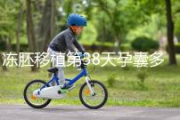 凍胚移植第38天孕囊多大?孕周和孕囊大小對照表一覽