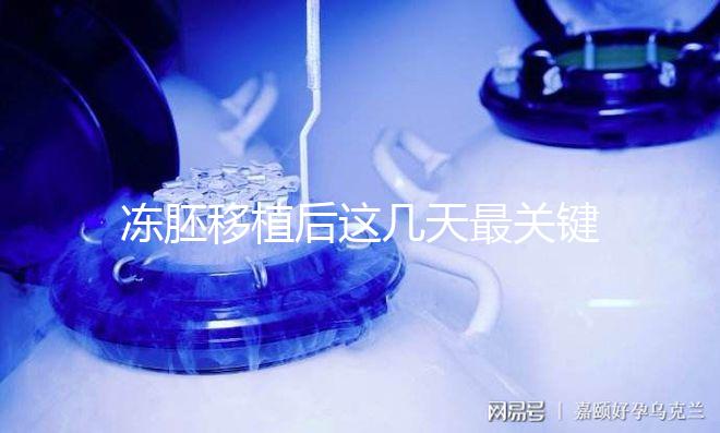 凍胚移植后這幾天最關(guān)鍵！一文揭秘重要原因