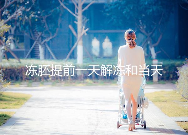 凍胚提前一天解凍和當天解凍沒有太大區別哪一天要注意？