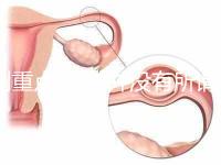 劃重點!目前并沒有所謂的“弓形蟲疫苗”,別再害自己貓咪了