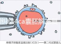 別糾結4ca囊胚解凍復蘇最早幾天能測出了，著床率先了解下