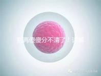 別再傻傻分不清了！詳解美國試管嬰兒和人工授精的區(qū)別