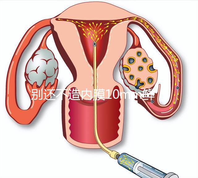 別還不造內膜10mm鮮胚容不容易著床，能否移植看這幾點