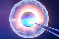 剛剛出爐!2024泰國試管嬰兒醫院最新排行榜
