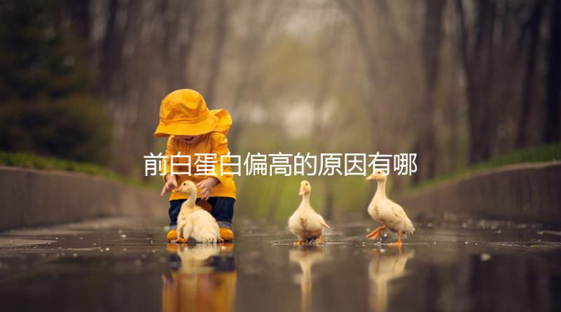 前白蛋白偏高的原因有哪些?血液濃縮是主因