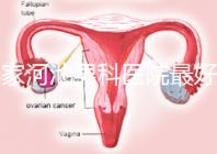 哪家河池男科醫院最好快速收藏，金城江區最有名的就在這里