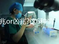 吉兆o(hù)r兇兆?這6種情形下的孕婦夢見黃鼠狼寓意各不同