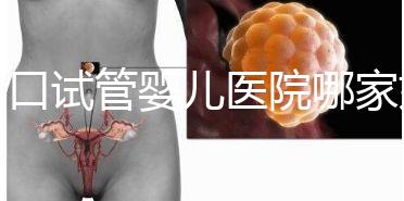 周口試管嬰兒醫(yī)院哪家好,2024年助孕成功率及費用公布