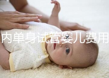 國內(nèi)單身試管嬰兒費用大概要多少錢一次？附費用明細！