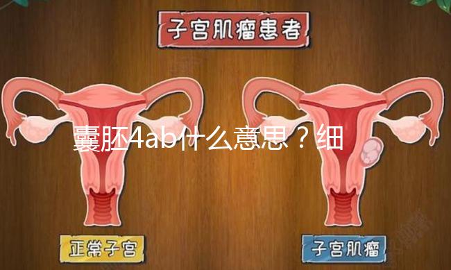囊胚4ab什么意思？細說移植成功率