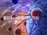 囊胚6aa移植并無(wú)風(fēng)險(xiǎn),術(shù)長(zhǎng)僅15分鐘,別讓心情影響成功率