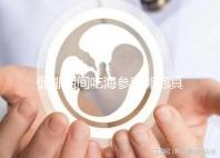 促排期間吃海參對卵泡真管用,不想取卵空泡找上門快做攻略