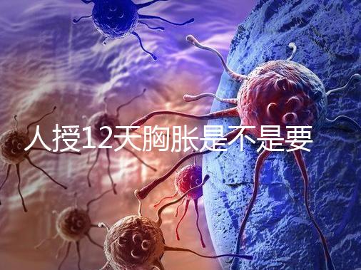 人授12天胸脹是不是要來(lái)例假了難說(shuō)，脹痛嚴(yán)重請(qǐng)驗(yàn)孕