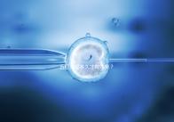 五紅湯喝多久才有效果?讓喝過的人告訴你!