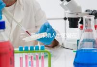 二、國內(nèi)未婚人士的潛在選擇與風(fēng)險